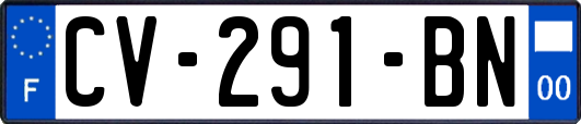 CV-291-BN