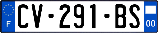 CV-291-BS
