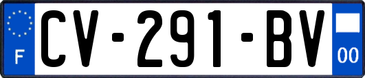 CV-291-BV