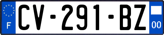 CV-291-BZ