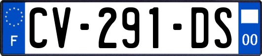 CV-291-DS