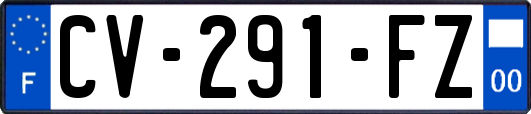 CV-291-FZ