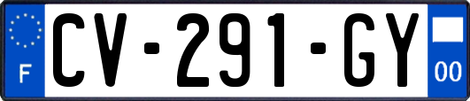 CV-291-GY