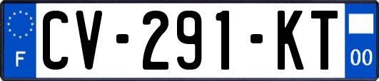 CV-291-KT
