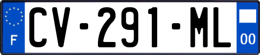 CV-291-ML