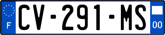 CV-291-MS