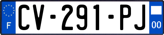 CV-291-PJ
