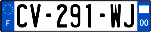 CV-291-WJ