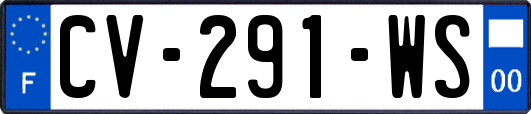 CV-291-WS