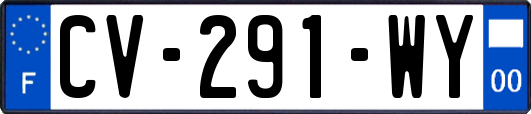 CV-291-WY