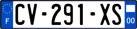 CV-291-XS