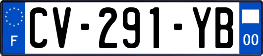 CV-291-YB