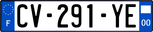 CV-291-YE