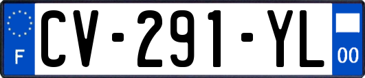 CV-291-YL