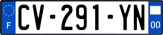 CV-291-YN