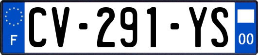 CV-291-YS