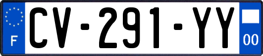 CV-291-YY