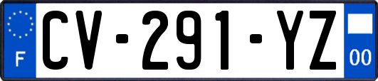 CV-291-YZ