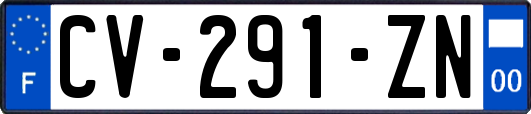 CV-291-ZN