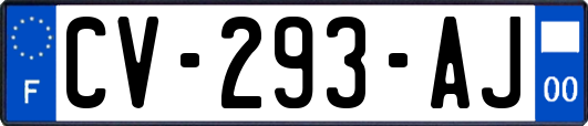 CV-293-AJ