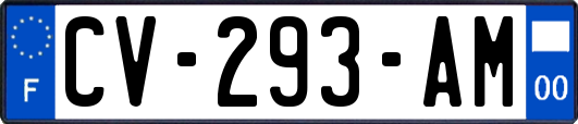 CV-293-AM