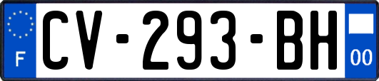 CV-293-BH