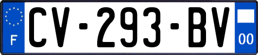 CV-293-BV