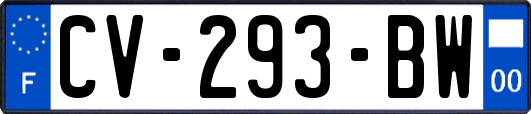 CV-293-BW