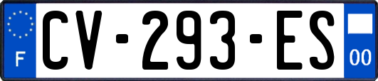 CV-293-ES