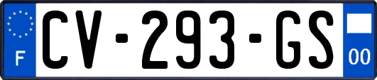 CV-293-GS