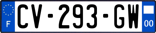 CV-293-GW