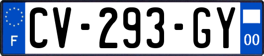 CV-293-GY