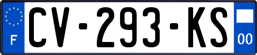 CV-293-KS