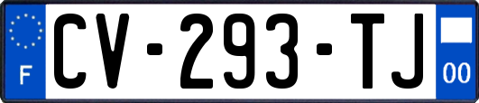 CV-293-TJ