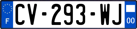 CV-293-WJ