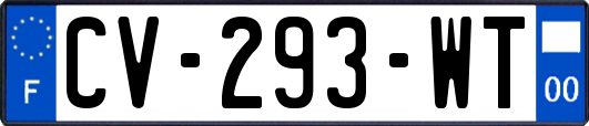 CV-293-WT