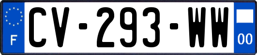 CV-293-WW