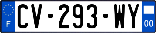 CV-293-WY