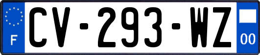 CV-293-WZ