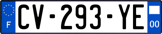 CV-293-YE