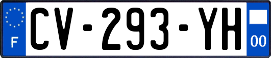 CV-293-YH