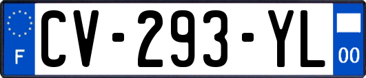 CV-293-YL