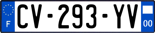 CV-293-YV