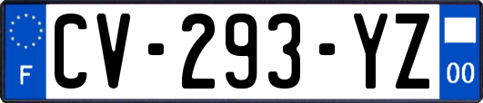 CV-293-YZ