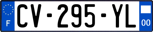 CV-295-YL