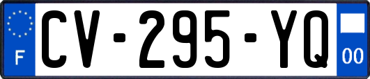 CV-295-YQ