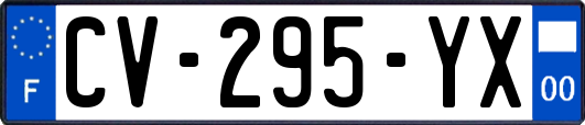 CV-295-YX