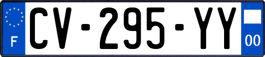 CV-295-YY