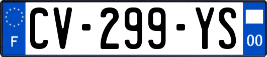 CV-299-YS