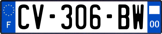 CV-306-BW
